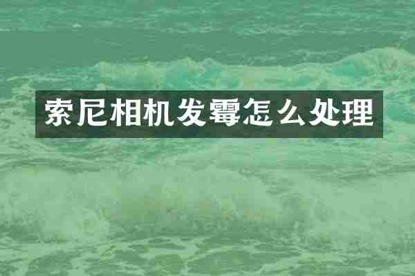 相机发霉怎么处理