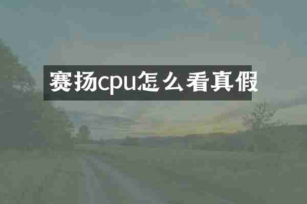 赛扬cpu怎么看真假