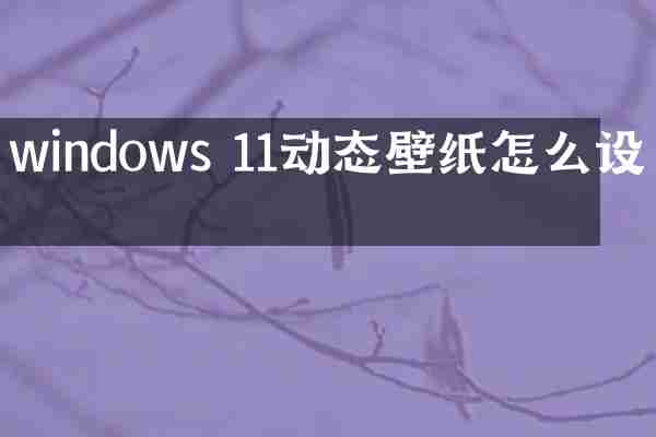 windows 11动态壁纸怎么设置