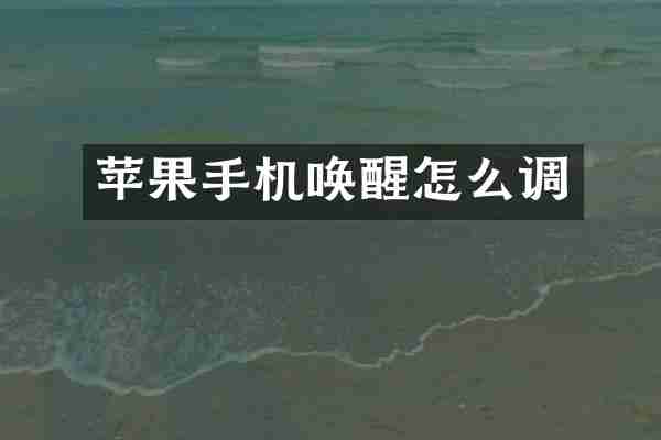 苹果手机唤醒怎么调