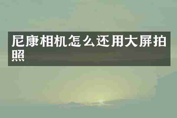 尼康相机怎么还用大屏拍照