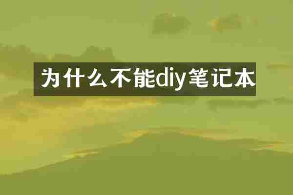 为什么不能diy笔记本