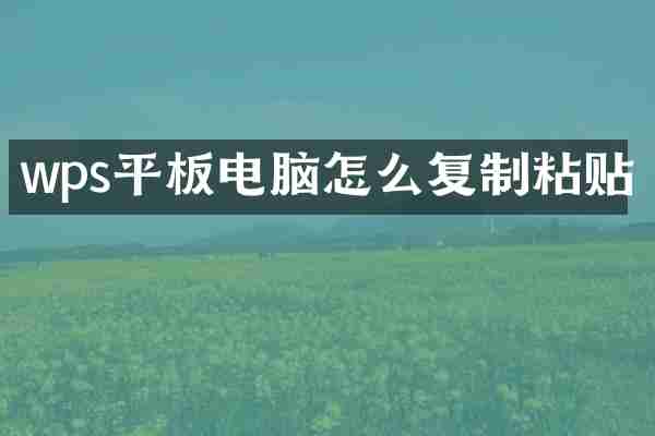 wps平板电脑怎么复制粘贴