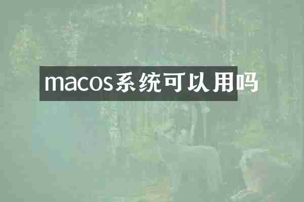 macos系统可以用吗