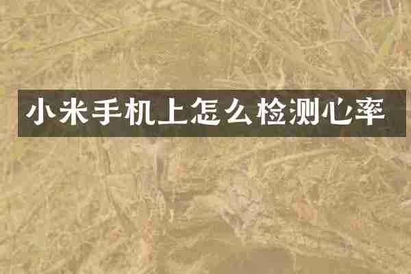 小米手机上怎么检测心率