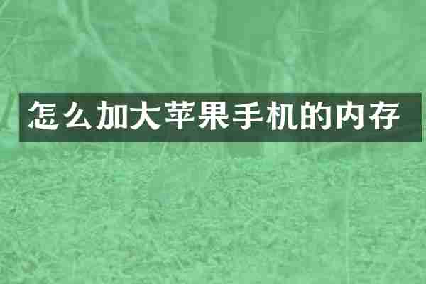 怎么加大苹果手机的内存