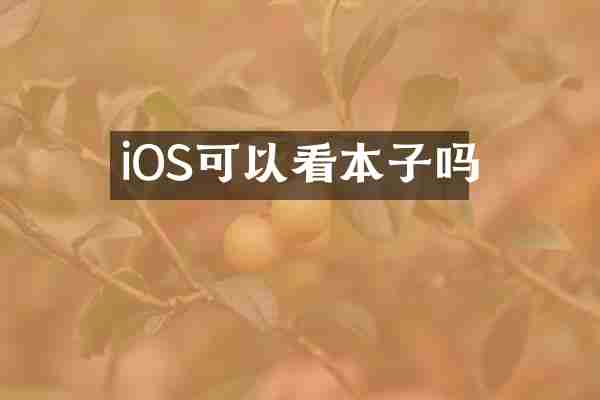 iOS可以看本子吗