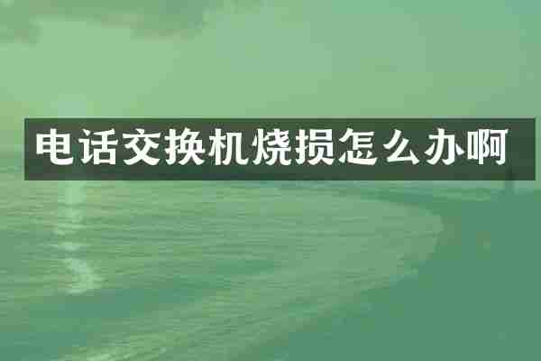 电话交换机烧损怎么办啊