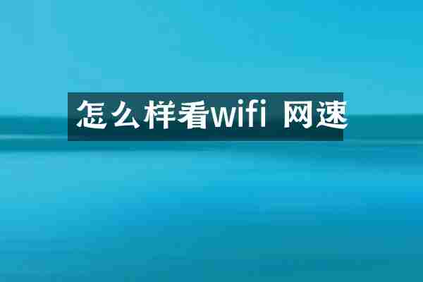 怎么样看wifi 网速