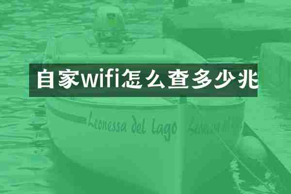 自家wifi怎么查多少兆