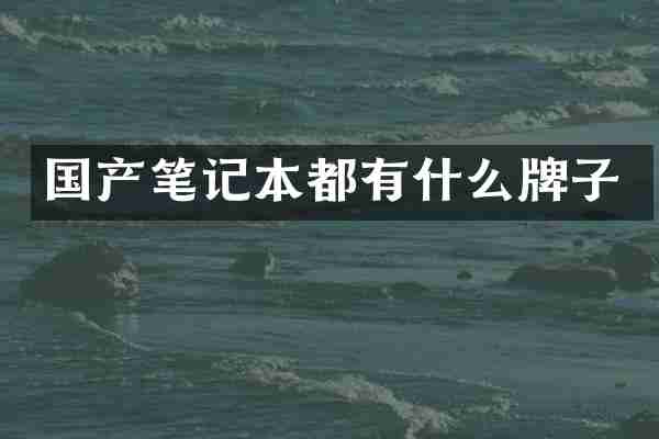 国产笔记本都有什么牌子