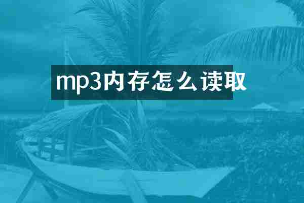 mp3内存怎么读取