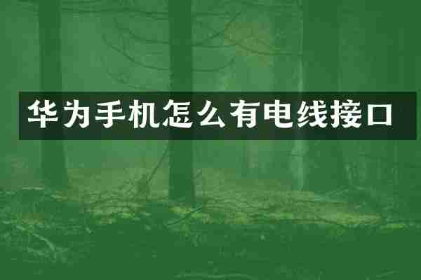 华为手机怎么有电线接口