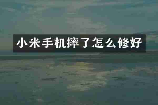 小米手机摔了怎么修好