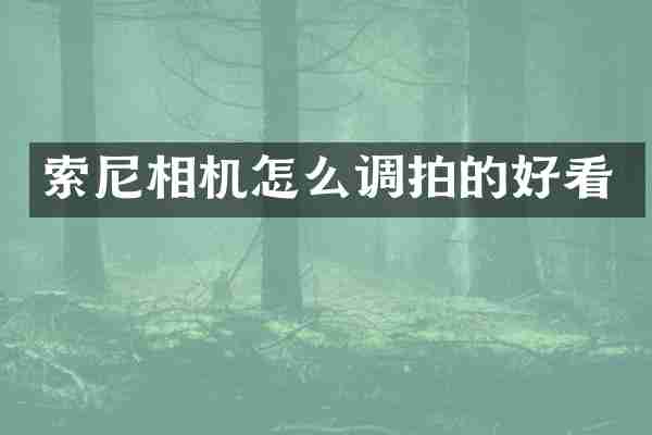 相机怎么调拍的好看