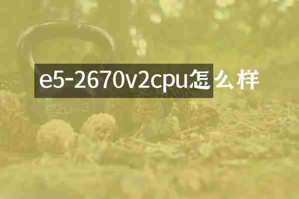 e5-2670v2cpu怎么样