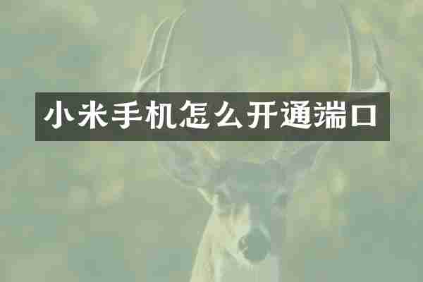 小米手机怎么开通端口