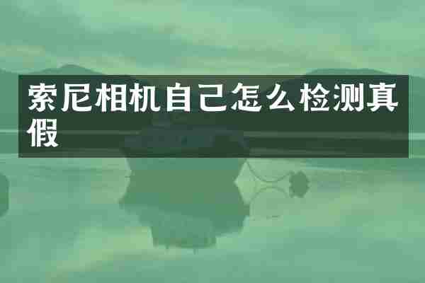 相机自己怎么检测真假