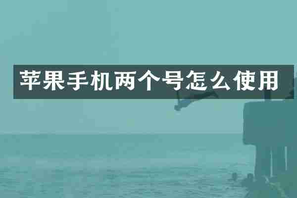 苹果手机两个号怎么使用