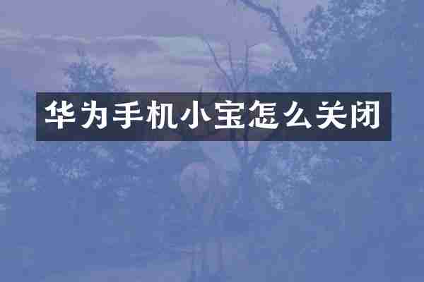 华为手机小宝怎么关闭