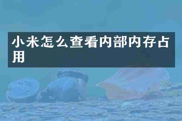 小米怎么查看内部内存占用