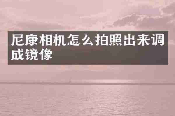 尼康相机怎么拍照出来调成镜像