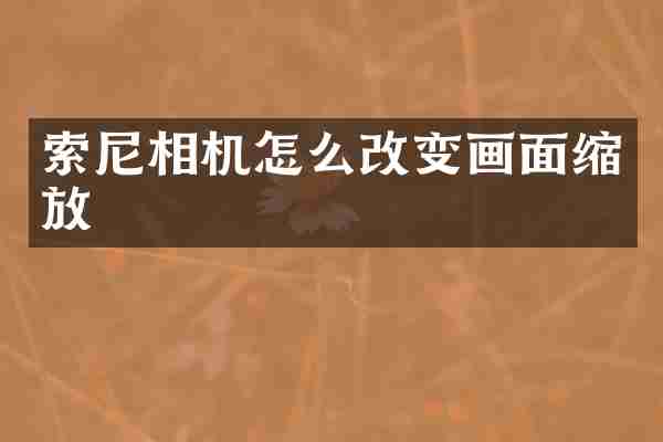 相机怎么改变画面缩放