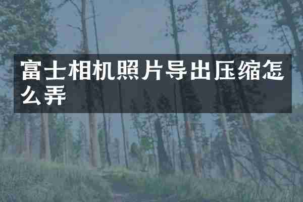 富士相机照片导出压缩怎么弄