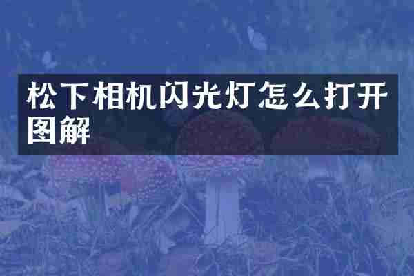 相机闪光灯怎么打开图解