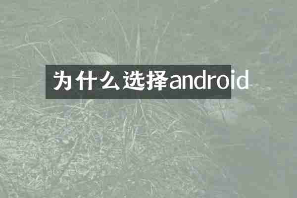 为什么选择android