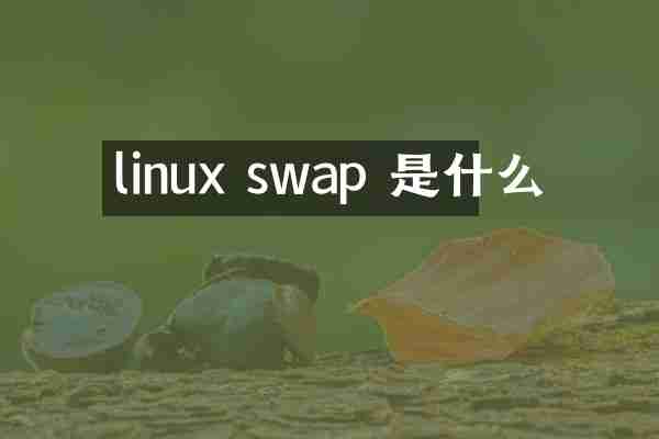 linux swap 是什么