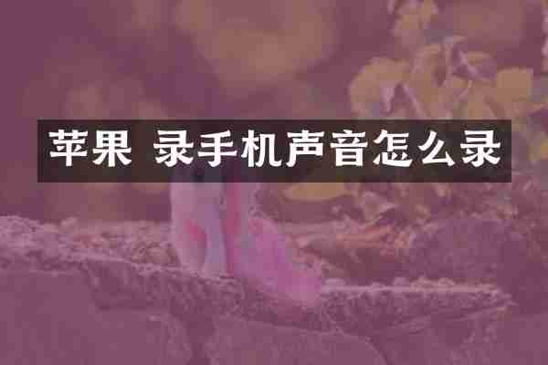 苹果 录手机声音怎么录