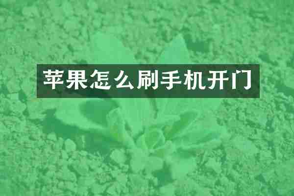 苹果怎么刷手机开门