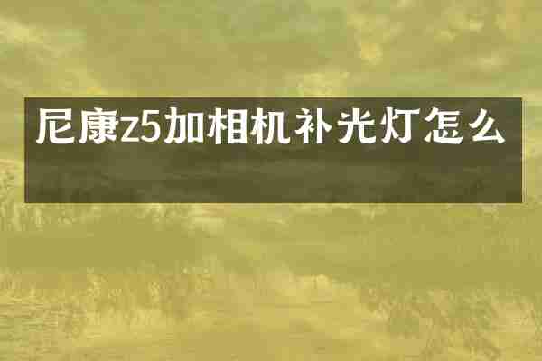 尼康z5加相机补光灯怎么关
