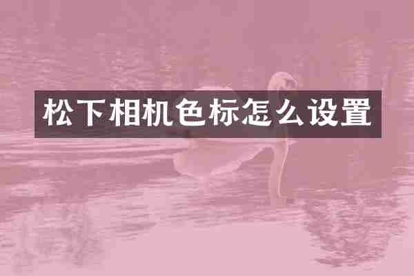 相机色标怎么设置