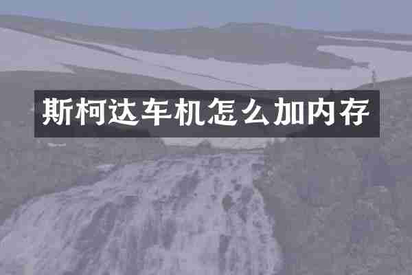 斯柯达车机怎么加内存