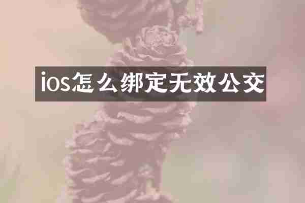 ios怎么绑定无效公交