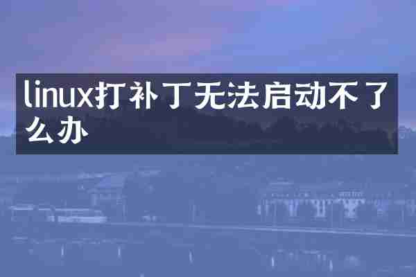 linux打补丁无法启动不了怎么办