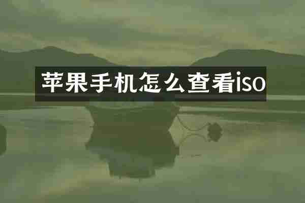 苹果手机怎么查看iso