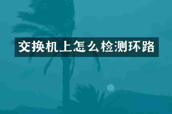 交换机上怎么检测环路