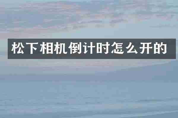 松下相机倒计时怎么开的