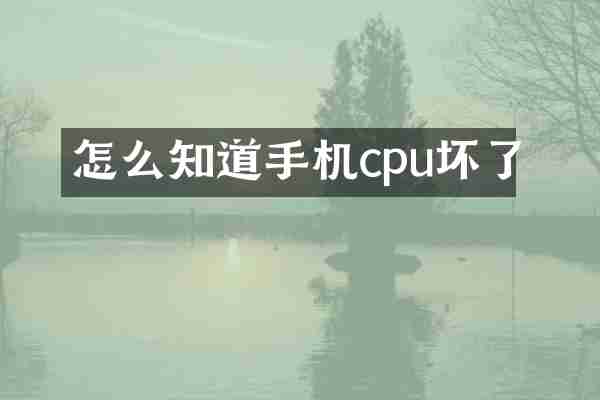 怎么知道手机cpu坏了