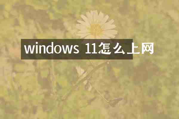 windows 11怎么上网