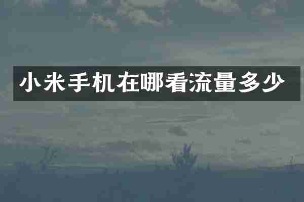 小米手机在哪看流量多少