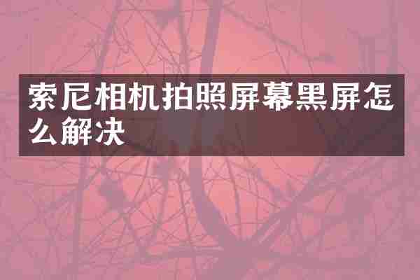 相机拍照屏幕黑屏怎么解决