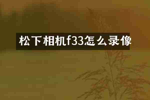 松下相机f33怎么录像