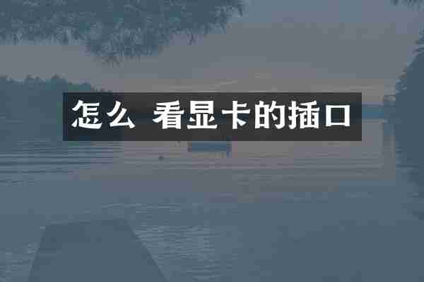 怎么 看显卡的插口
