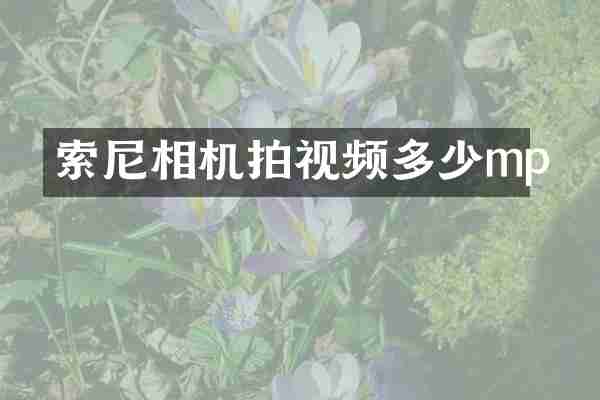 相机拍视频多少mp