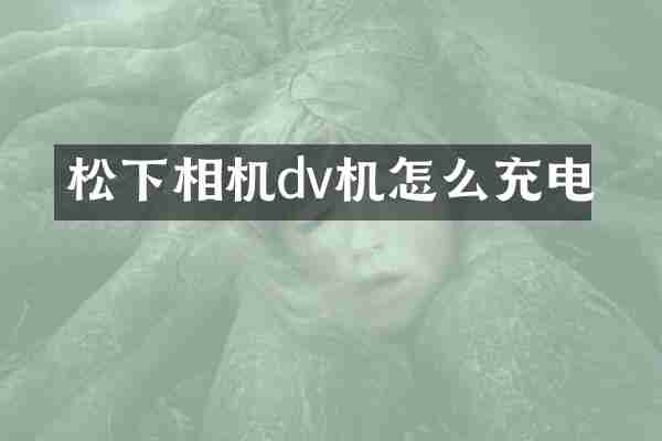 松下相机dv机怎么充电