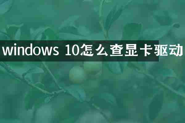 windows 10怎么查显卡驱动